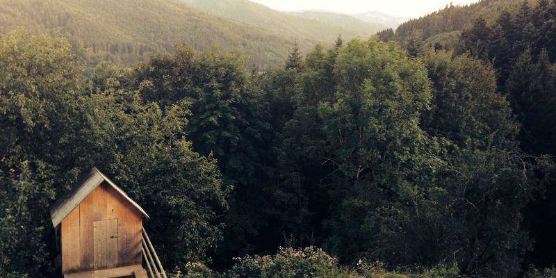 穿越千年的美颜智慧:北京艳丽姿如何用中医理念融合现代科技,重新定义美容护肤