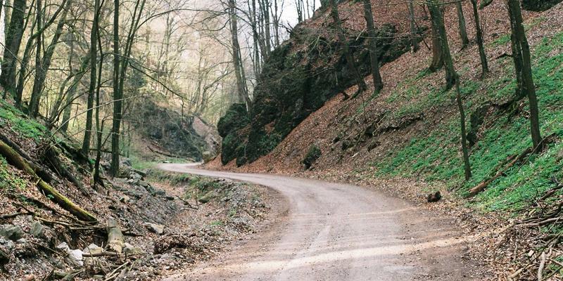 紫色魅影：在北京艳丽姿，探寻被遗忘的手足护理复古美学